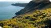 Howth Walking Tours