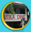 Utila Dive Centre/Mango-Inn