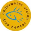 Underwater Vision