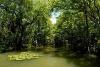 Backwater Guide Service