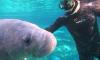 Gulf Coast Expeditions