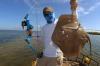 Florida Bowfishing Charters