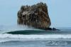 Witch's Rock Surf Camp