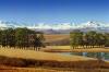 Birches and Willows Bed and Breakfast 