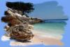 Thassos Tours