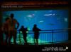 North Carolina Aquarium at Pine Knoll Shores