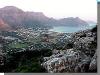 Plumbago - Hout Bay