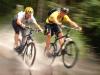 Mountain Bike Tours