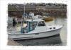 Plymouth Fishing Charters