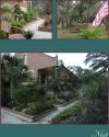 Palm Lodge