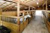 Twin Horse Farm
