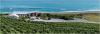 Kaikoura Winery