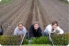 Warborne Organic Farm