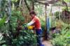 Permaculture Nursery