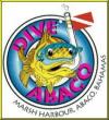 Dive Abaco