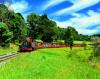 Puffing Billy Steam Railway