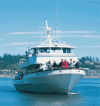 Marine Discovery Tours