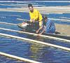 Tennessee River Freshwater Pearl Farm 