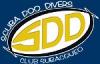 Scuba Doo Divers   