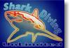 Shark Diving Unlimited 