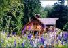 Our Country Haus