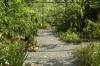 Roatan Butterfly Garden