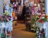 Museum Store at Vero Beach Museum of Art