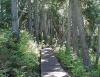 Coastal Hiking