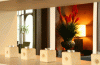 The Ashley Hotel