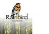 Rainbird Excursions