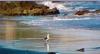 The Champagne Collection Holiday Villas Apartments & Guest Houses