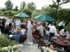 Wedding at the Diglis House Hotel