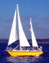Sunshine Charter's 