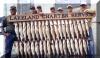 Lakeland Charter Services