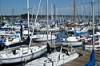 Oak Bay Marina 