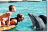 Dolphin Reef Eilat