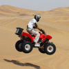 Desert Explorers