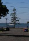 Cedar Lookout