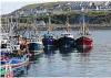 Andy Race Fish Merchants Ltd. Online Shop