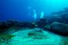 Coral Bay Divers