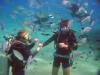 Crest Dive Center