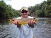 Asheville Fishing Guides