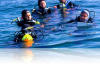 Isla Diving Courses