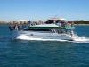 Hervey Bay Whale Watch Charters