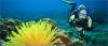 Scuba Dive SA Diving Courses