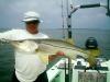 Tampa Bay Fishing Charters