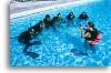 Hall's Dive Center Training