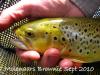 Inkwazi Fly Fishing Safaris