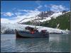 Auklet Charter Services
