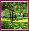 Avalon Lakefront Motel